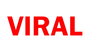 Apa Saja yang Perlu Diperhatikan Saat Cari Konten Viral